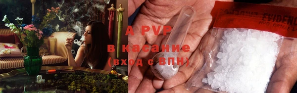 сатива Балахна
