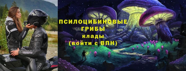 PSILOCYBIN Богданович