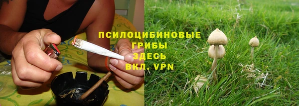 PSILOCYBIN Богданович