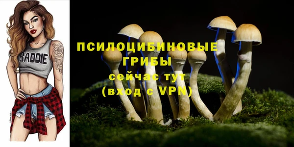 скорость mdpv Белокуриха